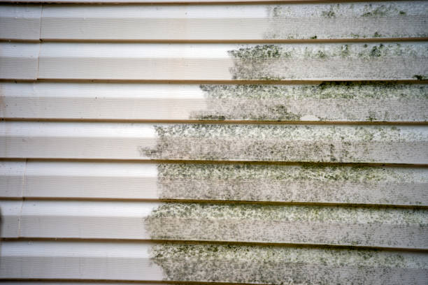 Best Wood Siding Installation  in Windsor, CA