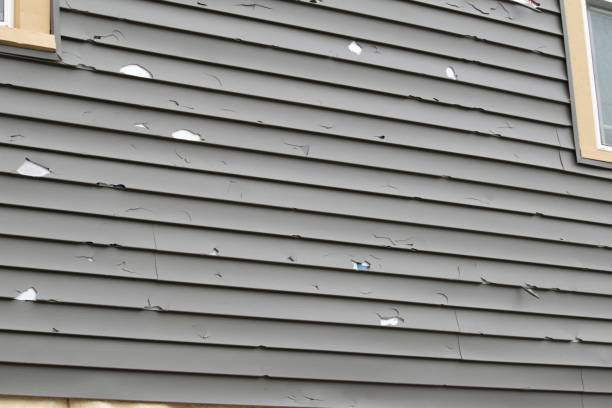Affordable siding repair and maintenance services in Windsor, CA